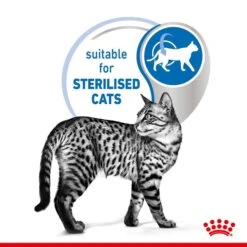 ROYAL CANIN INDOOR Sterilised In Gelee Nassfutter Für Wohnungskatzen -Trixie Verkäufe royal canin indoor sterilised jelly 85g 4