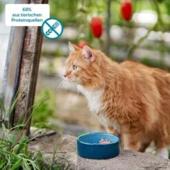 Titelseite -Trixie Verkäufe zooroyal minkas adult 68 prozent tierische proteinquellen webWClnMupUfyyFx